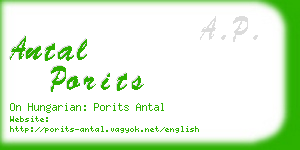 antal porits business card